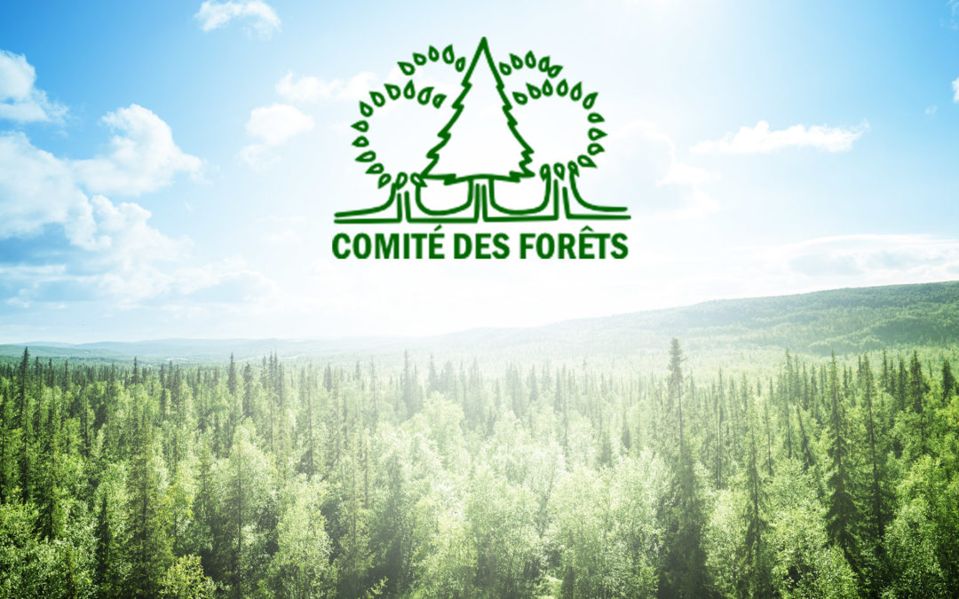 Lancement du nouveau site Web du Comité des Forêts